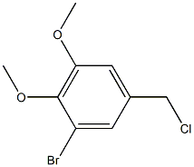 1-溴-5-(氯甲基)-2,3-二甲氧基苯 结构式