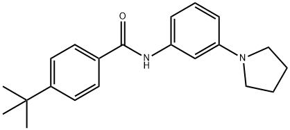 4-tert-butyl-N-[3-(pyrrolidin-1-yl)phenyl]benzamide 结构式