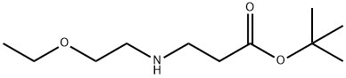 tert-butyl 3-[(2-ethoxyethyl)amino]propanoate 结构式