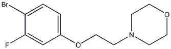 4-(2-(4-溴-3-氟苯氧基)乙基)吗啉 结构式