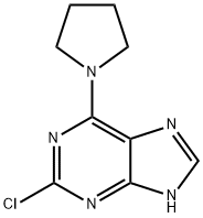 2-氯-6-(吡咯烷-1-基)-9H-嘌呤 结构式