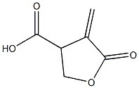 3-Furoic acid, tetrahydro-4-methylene-5-oxo- 结构式