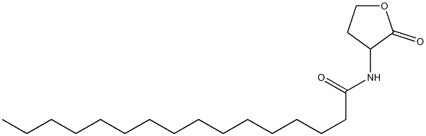 N-Hexadecanoyl-DL-homoserine lactone 结构式