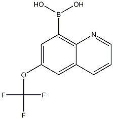 (6-(三氟甲氧基)喹啉-8-基)硼酸 结构式