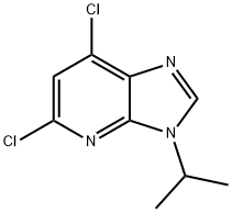 5,7-二氯-3-异丙基-3H-咪唑并[4,5-B]吡啶 结构式