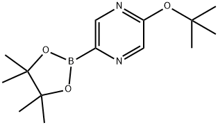5-tert-butoxypyrazin-2-ylboronic acid pinacol ester 结构式