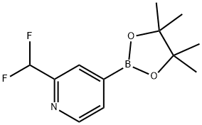 2-(Difluoromethyl)-4-(4,4,5,5-tetramethyl-1,3,2-dioxaborolan-2-yl)pyridine 结构式