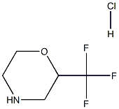2-三氟甲基-吗啉盐酸盐 结构式