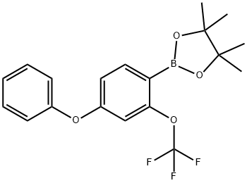 4-Methoxy-2-(trifluoromethoxy)phenylboronic acid, pinacol ester 结构式