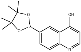 6-(4,4,5,5-tetramethyl-1,3,2-dioxaborolan-2-yl)quinolin-4-ol 结构式