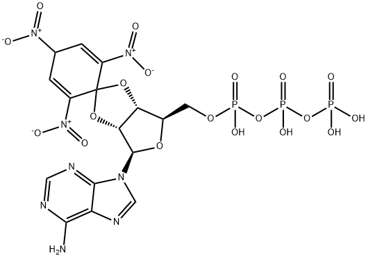 2',3'-O-(2,4,6-三硝基-2,5-环己二烯-1-亚基)腺苷 5'-(三磷酸四氢酯) 结构式