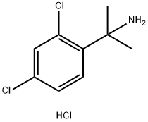 2-(2,4-二氯苯基)丙基-2-胺盐酸盐 结构式