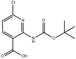 2-(N-BOC氨基)-6-氯烟酸 结构式