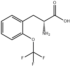 (2R)-2-AMINO-3-[2-(TRIFLUOROMETHOXY)PHENYL]PROPANOIC ACID 结构式