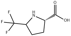 5-三氟甲基-2-吡咯烷甲酸 结构式