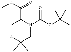 4-(叔丁基)3-甲基6,6-二甲基吗啉-3,4-二羧酸酯 结构式