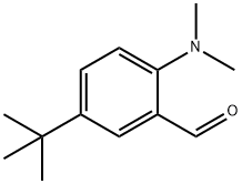 5-叔丁基-2-二甲氨基苯甲醛 结构式