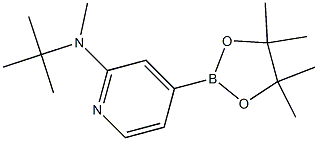 N-tert-butyl-N-methyl-4-(4,4,5,5-tetramethyl-1,3,2-dioxaborolan-2-yl)pyridin-2-amine 结构式
