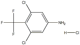 3,5-二氯-4-(三氟甲基)苯胺 盐酸盐 结构式