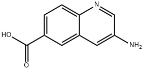 3-氨基喹啉-6-羧酸 结构式