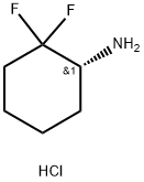 (1R)-2,2-difluorocyclohexan-1-amine hydrochloride 结构式