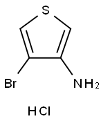 4-bromothiophen-3-amine hydrochloride 结构式