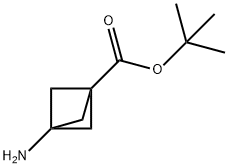 TERT-BUTYL 3-AMINOBICYCLO[1.1.1]PENTANE-1-CARBOXYLATE 结构式
