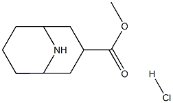 METHYL EXO-9-AZABICYCLO[3.3.1]NONANE-3-CARBOXYLATE HYDROCHLORIDE 结构式