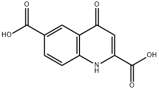 4-Oxo-1,4-dihydro-quinoline-2,6-dicarboxylic acid 结构式