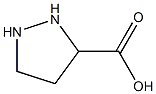 吡唑烷-3-羧酸 结构式