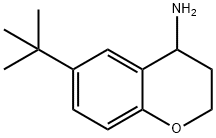 6-(叔丁基)苯并二氢吡喃-4-胺 结构式