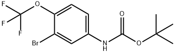 (3-溴-4-(三氟甲氧基)苯基)氨基甲酸叔丁酯 结构式