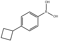 (4-Cyclobutylphenyl)boronic acid 结构式