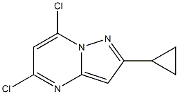 5,7-二氯-2-环丙基吡唑并[1,5-A]嘧啶 结构式
