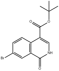 TERT-BUTYL 7-BROMO-1-OXO-1,2-DIHYDROISOQUINOLINE-4-CARBOXYLATE