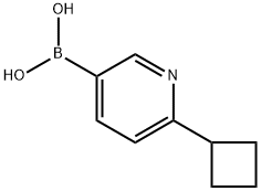 (6-cyclobutylpyridin-3-yl)boronic acid 结构式
