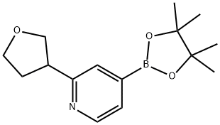 2-(tetrahydrofuran-3-yl)-4-(4,4,5,5-tetramethyl-1,3,2-dioxaborolan-2-yl)pyridine 结构式