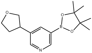 3-(tetrahydrofuran-3-yl)-5-(4,4,5,5-tetramethyl-1,3,2-dioxaborolan-2-yl)pyridine 结构式