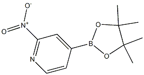 2-nitro-4-(4,4,5,5-tetramethyl-1,3,2-dioxaborolan-2-yl)pyridine 结构式