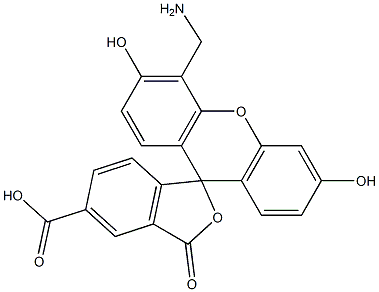 5-羧基-4'-氨甲基荧光素 结构式