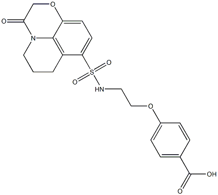 4-(2-(3-oxo-3,5,6,7-tetrahydro-2H-[1,4]oxazino[2,3,4-ij]quinoline-8-sulfonamido)ethoxy)benzoic acid 结构式