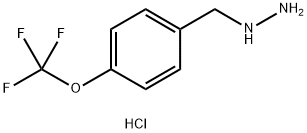 (4-(Trifluoromethoxy)benzyl)hydrazine dihydrochloride 结构式