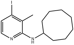 N-Cyclooctyl-4-iodo-3-methylpyridin-2-amine 结构式