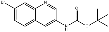 叔-丁基 (7-溴喹啉-3-基)氨基甲酯 结构式