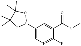 2-氟-5-(4,4,5,5-四甲基-1,3,2-二氧硼烷-2-基)烟酸甲酯 结构式