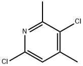 3,6-二氯-2,4-二甲基吡啶 结构式