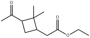 Ethyl 2-(3-acetyl-2,2-dimethylcyclobutyl)acetate 结构式