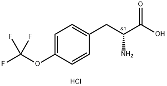 (R)-2-氨基-3-(4-(三氟甲氧基)苯基)丙酸盐酸盐 结构式