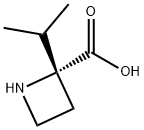 (R)-2-ISOPROPYLAZETIDINE-2-CARBOXYLIC ACID 结构式