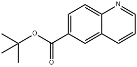 tert-butyl quinoline-6-carboxylate 结构式